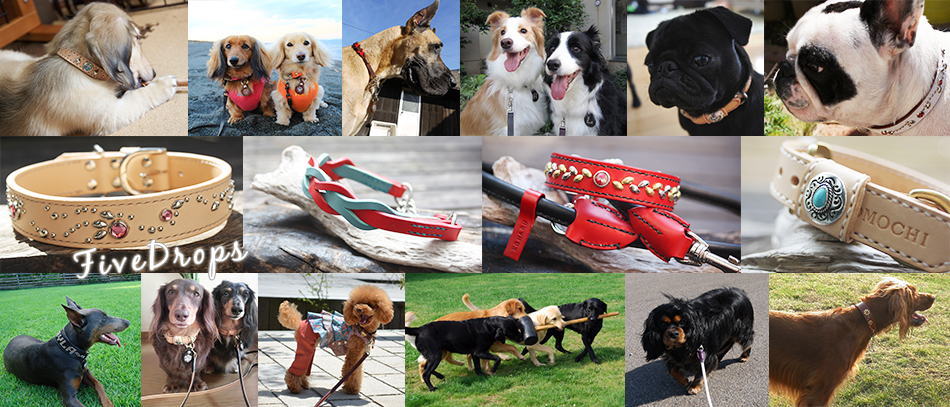 革で作る犬の首輪の専門店 Five Drops